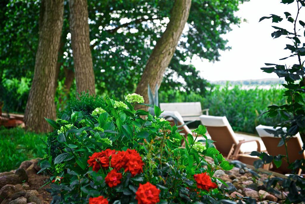 Panorama Seeresort & Spa Warnitz Экстерьер фото